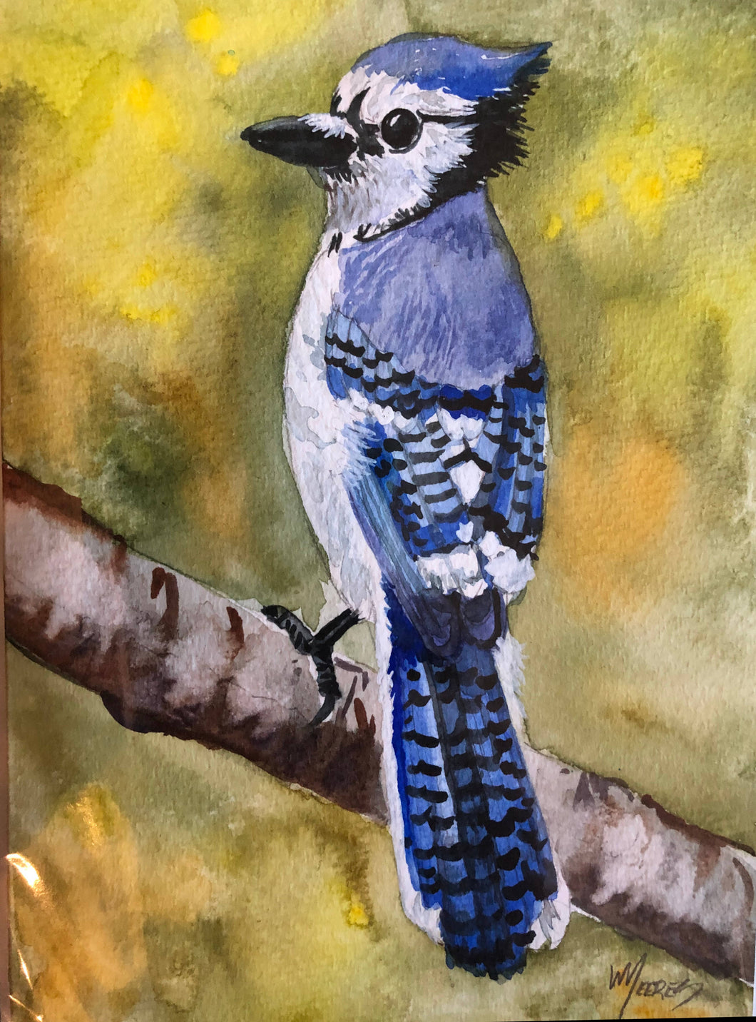 Blue Jay Watercolour Card