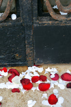 Load image into Gallery viewer, Doors of Italy 2 - Photo print cards