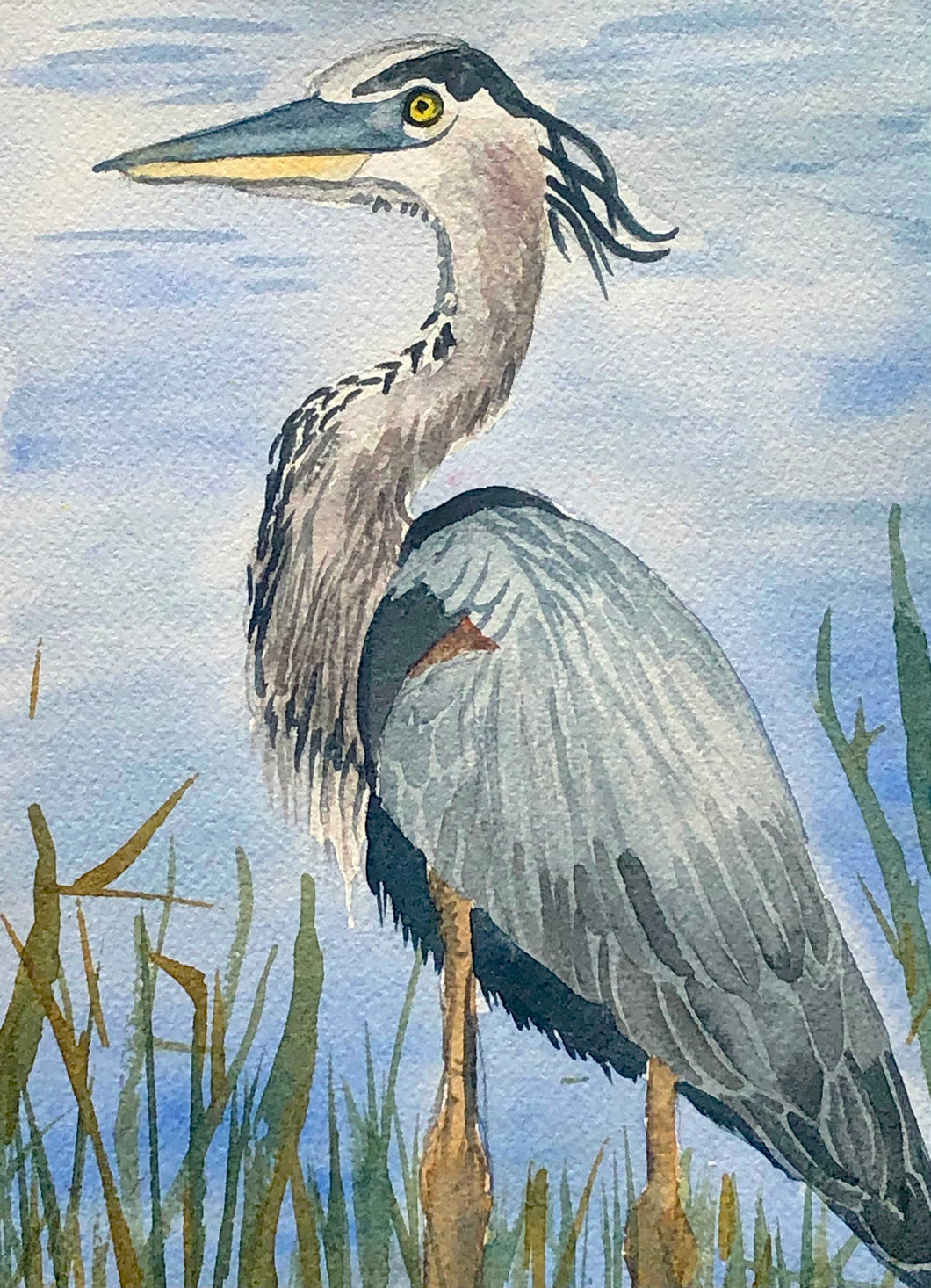 Blue Heron Watercolour - 5x7