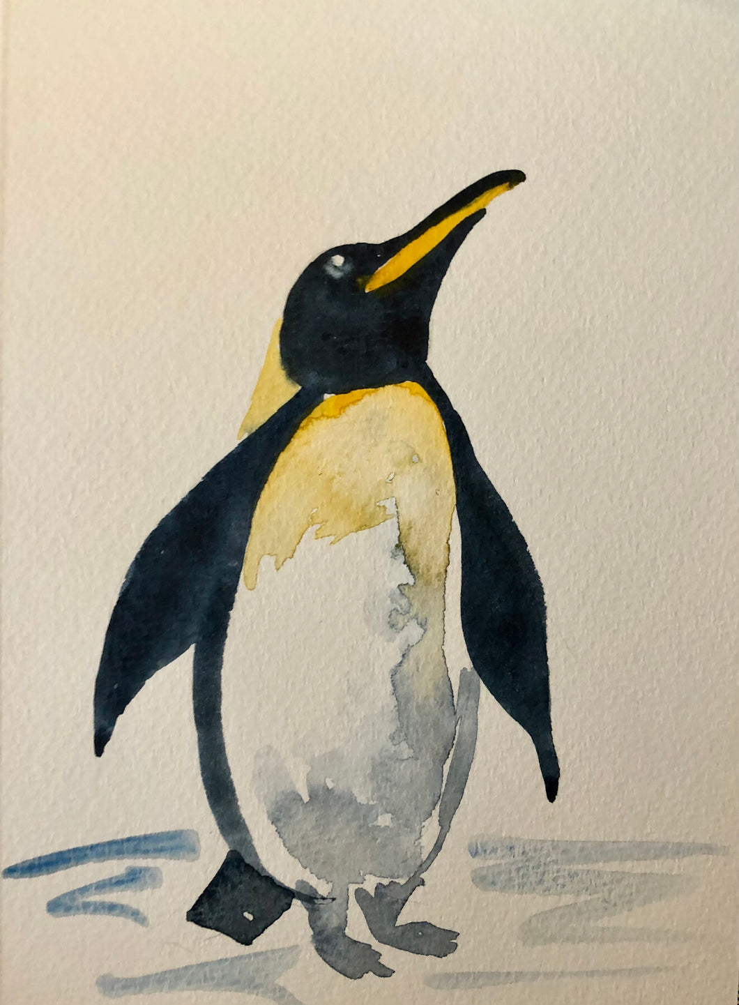 King Penguin Watercolour Card