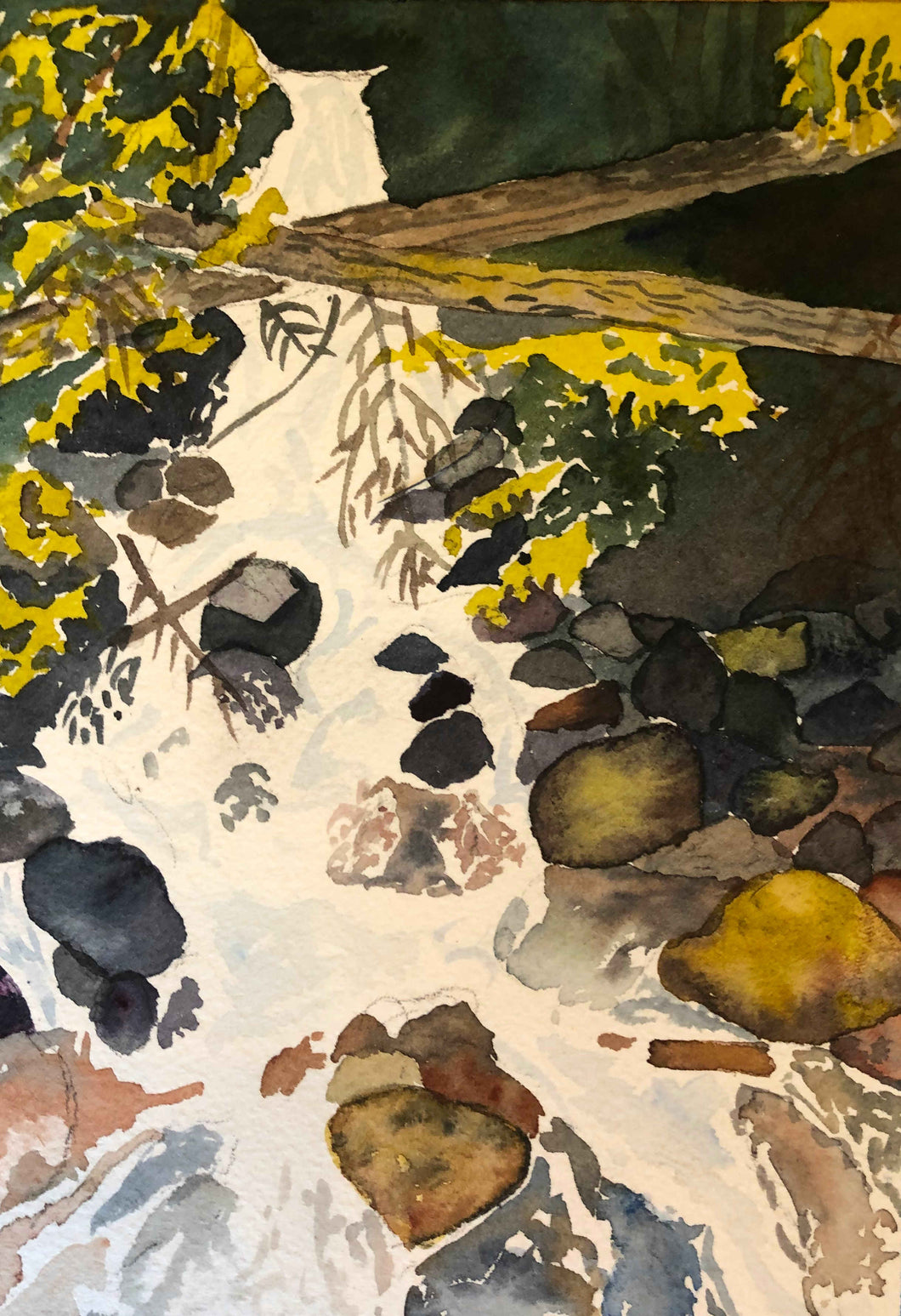 Kokanee Creek, B.C, Watercolour - 5