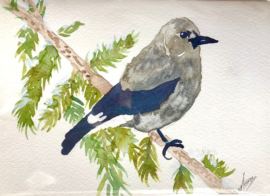 Christmas Card - Nuthatch Bird