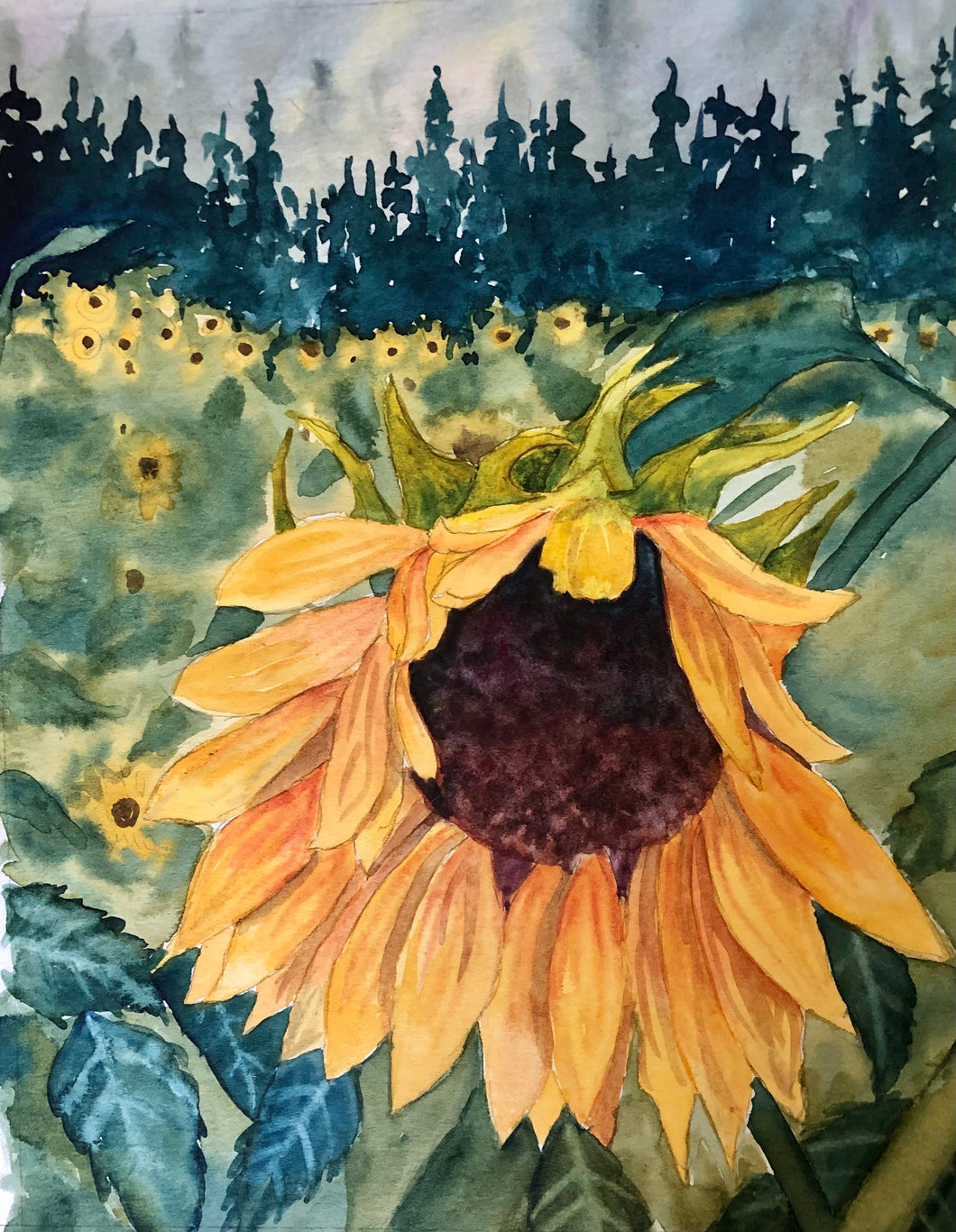 Field of Sunflowers Watercolour Painting