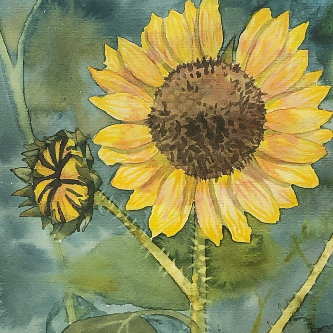 Sunflower Watercolour - 8